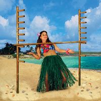 Highlights: Includes: 2-72 inch poles,72 inch limbo stick. limbo music CD (1/Box) Kits per Case: 1 Details: Make your next Luau Party feel like a Tropical Oasis with our discount Luau Party Supplies! boxed with full-color illustration. "Contains: 2-72 inch Poles with Pegs; 1-72 inch Limbo Stick; 1-Limbo Music CD boxed with full-col; (4 Pcs/Kit) 1 kit per case.Our Limbo Kit is the perfect addition to your luau or party! This kit includes two 72-inch poles and one 72-inch limbo stick, plus a limbo