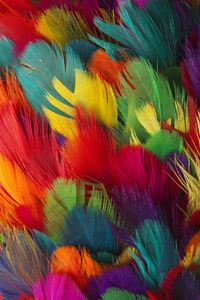 Plumes - Plumas con tinta de colores