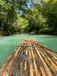 Jamaica, River Rafting, Carribean, Jamaica Aesthetic, Nature, Cruising, Summer in Jamaica