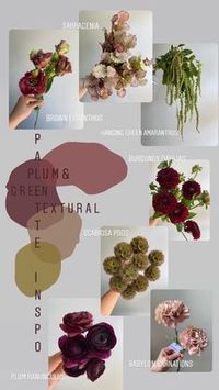 60 Color Schemes ideas in 2022 | wedding flowers, types of flowers, flower names