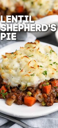 Tender lentils simmered in a rich savory broth, topped with creamy mashed potatoes create this Vegetarian Shepherd's Pie recipe. Bake until golden and bubbly for comforting meatless main dish! #spendwithpennies #shepherdspie #lentils #vegetarian #vegetariancasserole #mashedpotatoes #meatlessmonday