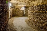 Paris Catacombs Ticket and Seine River Cruise 2024