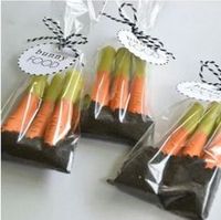 Good idea for Easter bunny food. This is pretzel sticks dipped in orange and green candy melts to look like carrots and placed in a bag full of crushed Oreo cookies to look like dirt