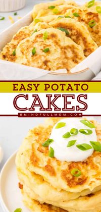 Transform your leftover mashed potatoes into crispy, cheesy potato cakes that melt in your mouth. These Mashed Potato Cakes make an irresistible side dish or vegetarian entree and are ready in under 20 minutes!