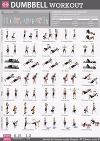 Dumbbell Workout Poster