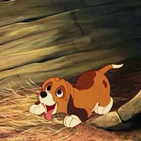 the fox and the hound copper 🌾