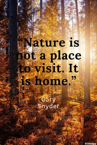 Environment quotes nature mother earth is so beautiful but needs our help to keep it beautiful, a very important quote from Gary Snyder- Nature is not a place to visit. It is home. It is worth remembering and taking it seriously, fewer and fewer people care about the health of our nature and cannot take care of themselves. Environment quotes earth day & go green inspiring to change consciousness and understanding how our earth suffers by people#nature#world#planet#travel#environment#naturequotes