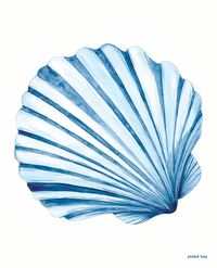 Blue and white never goes out of style. The All Blues Scallop Shell is painted in classic blue watercolor. Reproduced on beautiful, thick cotton paper, this giclee print looks like an original watercolor painting. Mixes and matches perfectly with the rest of the All Blues Collection.