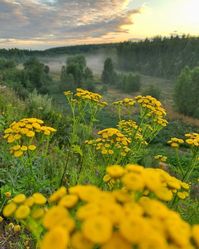 beautifuls Cleansed nature aesthetic nature wallpaper traveling the world ,beautifuls ,cleanse .finding travel places ,wondering,amaze travel the world traveling travel places findings greatful