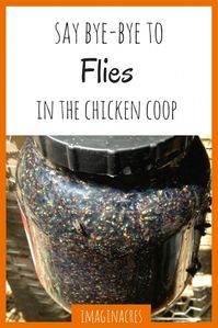 Do you have flies in your chicken coop? We've found several ways to get rid of flies in the chicken coop for good!