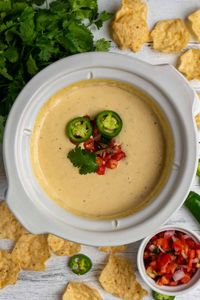 This Crock Pot White Queso Dip is the perfect appetizer for any party or game day! You only need a few simple ingredients to make this dip.