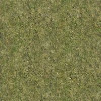 Grass Textures 031 #Grass, #Textures