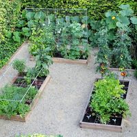 Smart Raised-beds of different modular shapes. Complete with other Smart Apps such as vegetable cages, grow walls, climb supports ...