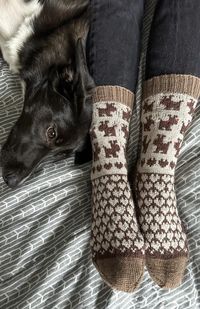 From Lorraine Thompson’s Thoughtful Sole Series here’s one that will thrill dog lovers! This clever colourwork knitting pattern features the cutest pups on the leg and the words: I LOVE MY DOG on the sole of Sock 1 and MY DOG LOVES ME on the sole of Sock 2. The noses are embroidered with French knots using DMC embroidery floss. Puppy Love Socks Sock 1 I LOVE MY DOG Sock 2 MY DOG LOVES ME skill level Advanced finished size: women’s small