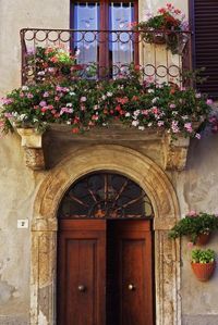 'Balcony Flowers and Doorway in Pienza Tuscany Italy' Photo - Julian Castle | Art.com