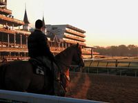 4 Tours You Should Experience during Kentucky Derby Weekend! #KentuckyDerby #Tours http://social.derbyexperiences.com/4-tours-you-should-experience-on-kentucky-derby-weekend