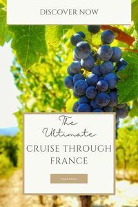 Discover why a river cruise through Burgundy, France, is a MUST-HAVE experience! 🌟  With this customized travel package, explore charming villages, savor exquisite wines, and enjoy exclusive tastings. This wine cruise vacation offers the perfect blend of scenic beauty and culinary delight. 🍷  📌 Pin now to start planning your ultimate summer Europe trip on this unforgettable river cruise! 🚢  #WineCruise #LuxuryTravel #RiverCruise #HiddenGems #CruiseVacation #FranceTravel #SummerTrips