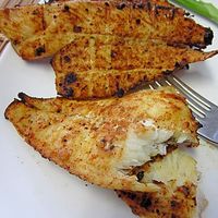 Texas Style Grilled Flounder