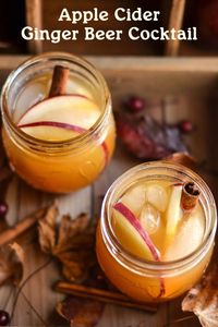 Mix up your fall with this easy apple cider ginger beer cocktail! A perfect blend of sweet apple and spicy ginger, it’s the ultimate cozy drink for autumn nights.