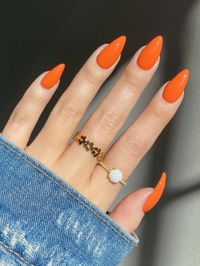 Burnt Orange  Collar    Bare Nails Embellished   Beauty Tools