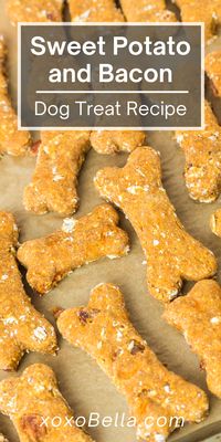 This sweet potato and bacon dog treat recipe blends five simple ingredients to make sweet potato dog biscuits which are fresher and healthier than many store-bought treats. So why not treat your fur babies to these sweet potatoes and bacon snacks? Homemade treats with natural ingredients which are easy to make are a great way to show your furry friend you love him (or her). Big dogs and smaller dogs will love this balanced, homemade dog treat recipe.