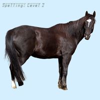 "Horse" spelling game. Click with a kid for instant play!