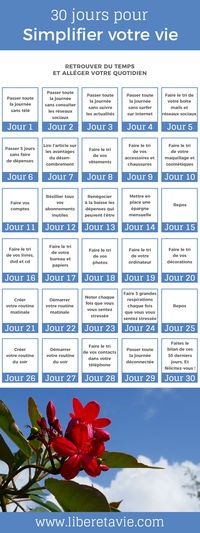 Relevez le défi 30 jours pour simplifier votre vie : conseils et désencombrement pour plus de légèreté, d'harmonie et de temps libre au quotidien.