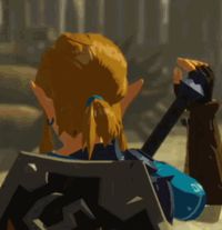 https://media.tenor.com/ROdWhQqT5kgAAAAd/zelda-bot-w-link-is-embarrassed-hyrule-warriors-age-of-calamity.gif