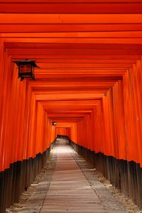 Fushimi Inari shrine Kyoto - one of the most amazing places I've ever been!