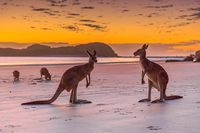 Cape Hillsborough | The most beautiful beaches in Queensland