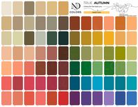 This post is part of a series outlining the basics of each seasonal color palette. If you’re looking to become acquainted with the palettes, this is a good place to start. Common Presentations of True Autumn True Autumn, like all seasons, has a huge range in terms of what they can look like. These True […]