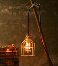 "It is a hanging lamp, it is a clamp lamp, it is a desk lamp, it is a work light – all rolled into one manly setup."