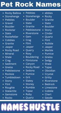 From clever Pet Rock Names to simple ones, we have shared names to make your Pet Rock stand out and add to its appeal. Let’s dive into the world of naming rocks and find out how a touch of creativity can turn a regular stone into a special companion.