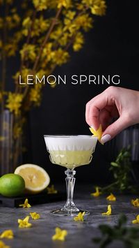 5min · 1 serving     Looking for a tasty and fresh recipe to welcome spring? How about this cocktail which is some sort of a delicious dessert and a drink?  🍸 LEMON SPRING  • 15ml / 0.5oz Gin  • 45ml / 1.5 oz Limoncello  • 15ml / 0.5 oz Lime Juice  • 7,5ml / 0.25 oz Vanilla Syrup  • 1 Fresh Egg White / Vegan Foamer  Shake all ingredients without ice for about 20 seconds. Add some ice and shake again for 15 more seconds. Strain into a cocktail glass and garnish with a lemon zest.