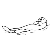 Sea otter muzzle swimming sketch #AD , #SPONSORED, #AFFILIATE, #otter, #sketch, #swimming, #Sea