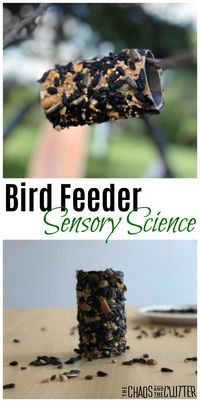 Toilet Paper Roll Bird Feeder #sensoryscience #sensoryactivities #sensoryplay #kidsactivities #scienceproject