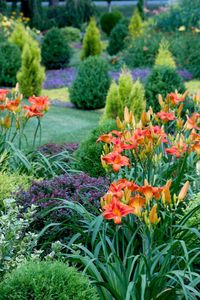 24 Perennial Planting Combinations That Look Stunning Together