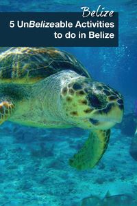 Belize is a great destination with many opportunities for an adventure. Diving the Belize barrier reef is one of our must do activities in Belize.