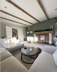 40 Best Sage Green Living Room Ideas 107 40 Best Sage Green Living Room Ideas