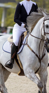 Made from luxurious, technical fabric with two-way stretch, these breeches provide limitless movement and moisture-wicking technology for long rides. The laser-cut bottom leg adds to the comfort and functionality.