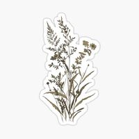 "Dark Academia Victorian Flower" Sticker for Sale by Enyr | Redbubble