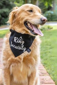 Make your dog part of the wedding security team with this cute 'Ring Security' bandana. It adds a fun and adorable touch to your ceremony, ensuring your furry friend is dressed for the occasion.