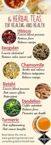 Herbal teas for healing and health.  Learn about which herbal tea is right to treat whatever ails you.  16 herbal teas and their health benefits.