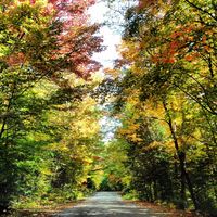 Fall :)  -Arrowhead Provincial Park  Ontario Canada