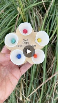 1.8K views · 4.1K reactions | Place Bee Cups in your garden to increase productivity. Customers tell us the beds with Bee Cups produce more food than those without. 🥦🥬🧅We are the original insect watering station 👏 We are patented and trademarked 👏 And we are the ONLY one with a food-safe, everlasting , ultraviolet glaze.  #beecups #agriculture #beevision #scienceiscool #pollinators #ladybugs #birds #beehotels #butterflies | Bee Cups for Thirsty Pollinators | bee_cups · Original audio