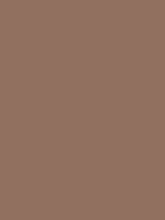 #92705f hex color