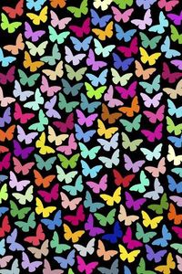 size: 18x12in Giclee Print: Butterflies by Miguel Balbás : Miguel Balbás/artlicensing.com