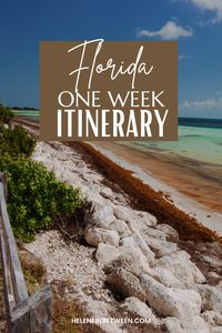 With its stunning beaches, thrilling theme parks, and diverse cultural attractions, Florida has something for everyone. Here's a one week itinerary that will help you make the most of your trip in Central and South Florida. This complete Florida travel itinerary will help you plan the perfect Florida vacation. | where to go in florida | what to do in florida | florida travel guide | florida travel destinations | florida itinerary things to do | florida travel tips | one week in florida