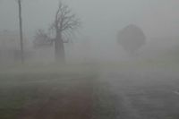 Roma, Queensland (Desert Rain Storm)  #roma #queensland #qld #australia #aust #oz #desertrainstorm