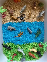 Let's go on a pretend Safari with this desert, water & grass sensory bin filler mix! Filler comes in 5 cups total of: - Sandy Seashore painted pasta - Blue Colored Rice - Green Grass painted pasta Large trofast bin showed using 5 cups. All sensory fillers are tested by actual kids to meet sensory needs. - DOES NOT come with any additional items shown.  - Filler should NOT come in contact with water. - Filler is taste safe & NOT for consumption.  - NO bin is included. Sensory Play is crucial for: - Improving fine & gross motor skills - Improves social skills - Improves language development - Encourages creativity & problem solving - Helps reduce anxiety & stress - Helps with self-regulation This filler is perfect for: - Busy parents  - Safari themed sensory play - Jungle themed sensory play